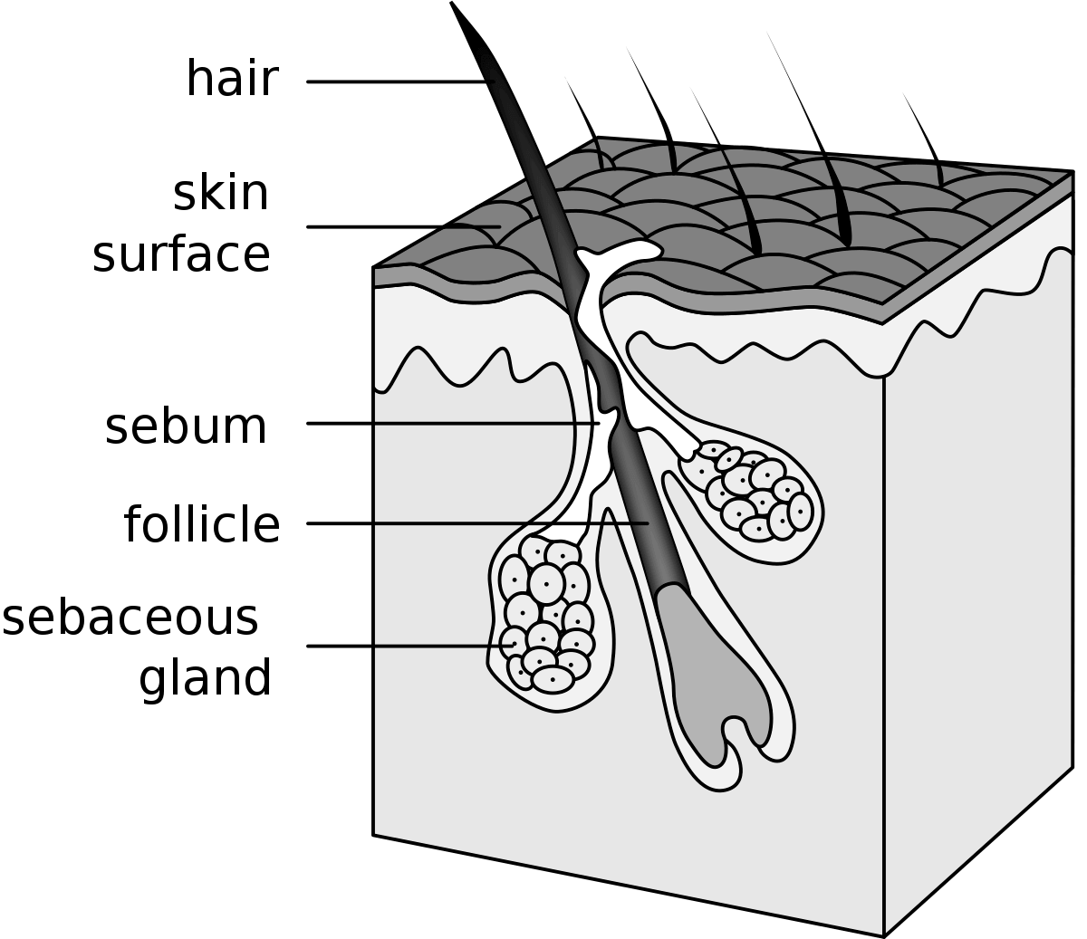 why-is-my-hair-falling-out-24-causes-of-hair-loss-by-a-dermatologist