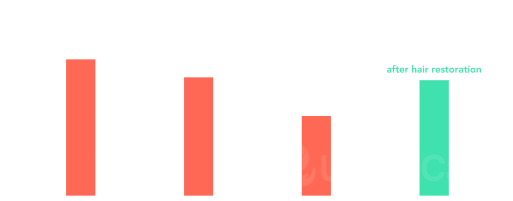 Statistics of the 1536 men surveyed about hair loss